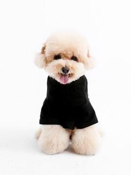 ROPA PARA MASCOTAS MWM TEDDY NEGRO